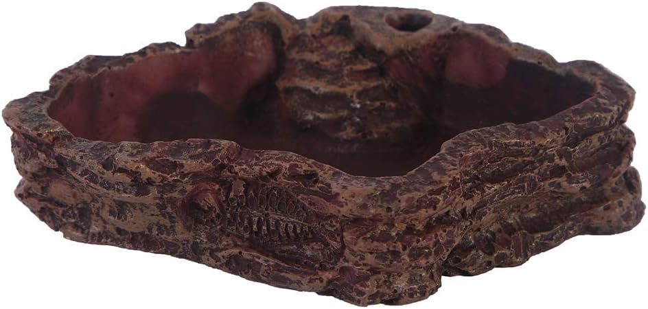 ciotola ad acqua per rettili