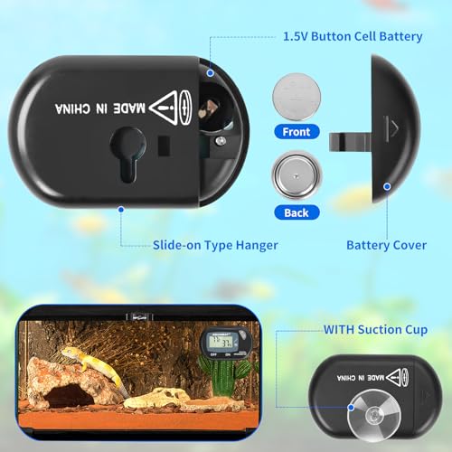 View 2