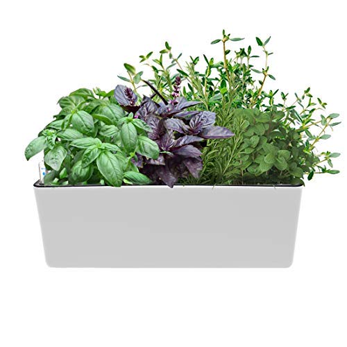 UKAN Self Watering Planter, Window Gardening Box, Plastic Flower Pots with Automatic Irrigation System Modern Decorative Gardening Pots for Indoor Plants, Herbs, Flowers, Rectangle, 16”X5.5”, White