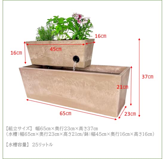 Amazon | アクアポニックス キット 水耕栽培 家庭菜園 RECTANGLE