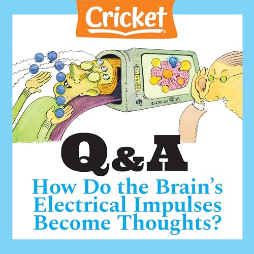 How Do the Brain's Electrical Impulses Become Thoughts? by Lizzie Eric episode artwork