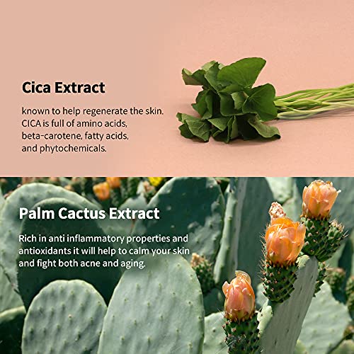 Yadah Silky Fit Concealer Bb Power Brightening 1.18 Ounce 21 Light Beige, 2 In 1 Base Makeup Natural Ingredients Foundation Cream #TOP3