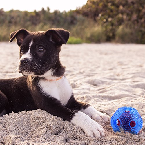 Interactive Dog Ball By Furryfido, Dog Toys Ball And Treat Dispensing For Dogs,Cat And Small Animals. Funny Dog Puzzle And Dog Toys For Boredom And Thinking(3 Inch, Transparent Blue) #TOP4