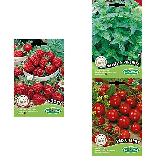 Lot Graines Fraise + Tomate + Menthe