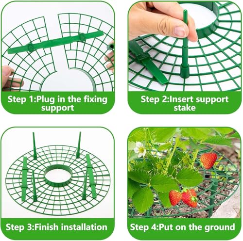 Set de herramientas para jardinería con enrejado para plantas miniatura 4