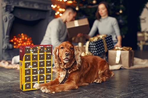Snuffle Hunde Adventskalender 2022, Mit 24 Artgerechten Weihnachtskalender für hunde, Leckerlis für deinen Hund