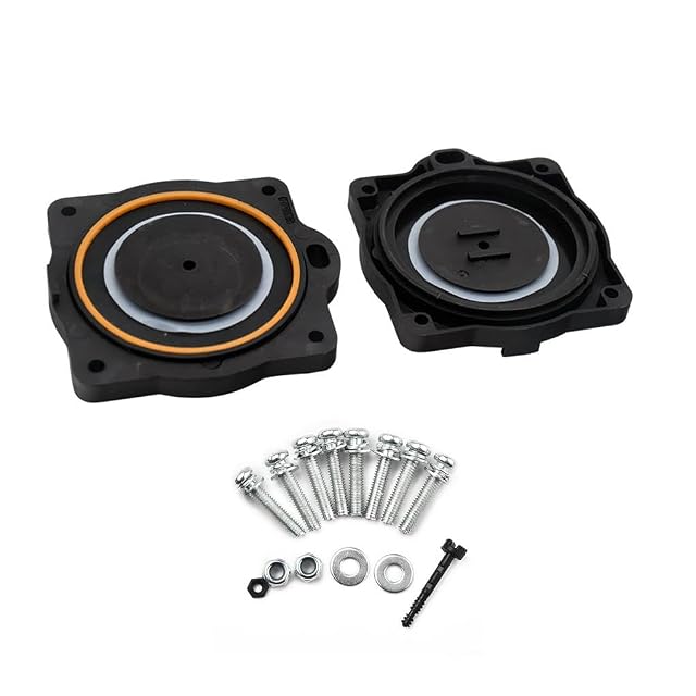 Wdfnexalai Kit de reparación de repuesto para bomba de aire HIBLOW HP-80 HP-60