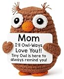 Hweijm Funny Mothers Day Birthday Gifts for Mom from Daughter Son, Easter Mother Day Present Handmade Owl I Love You Gifts for Women Bonus Mom Stepmother Mommy Mama Mother in Law Wife Grandma