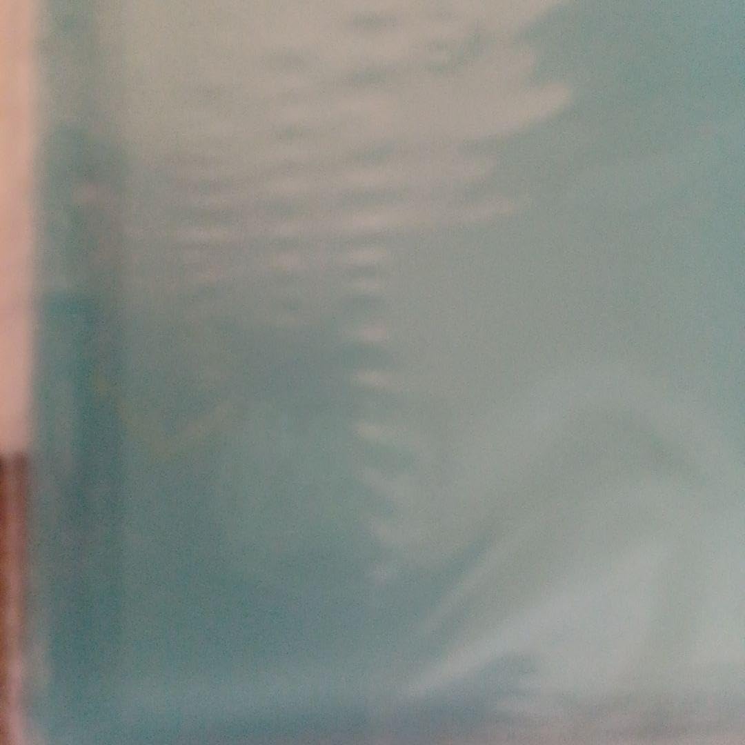 Amazon.co.jp: B'z 会報誌 専用バインダー 10個 セット : 文房具