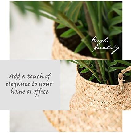 Miniatura 4 de AMERIQUE Único y hermoso gran flor de pájaro del paraíso de 5 pies, tecnología real táctil, con maceta de plástico para guardería, con protección