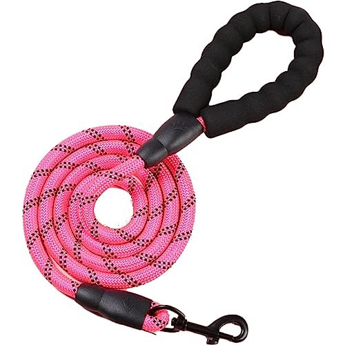 BRAVE WAKA vȌp[h 2pqA₷X|WƖڗގ̗pA^Ƒ^ɍœK (2m×1cm, sN)