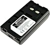 Synergy Digital Printer Battery, Compatible with Yashica KD-S840 Printer, Ni-MH, 6V, 2100mAh Ultra High Capacity, Replacement for Sony NP-55 Battery