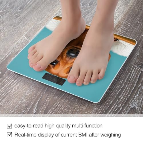 Báscula Digital de Baño FekiLoot con Plataforma Ancha y Pantalla LCD miniatura 5
