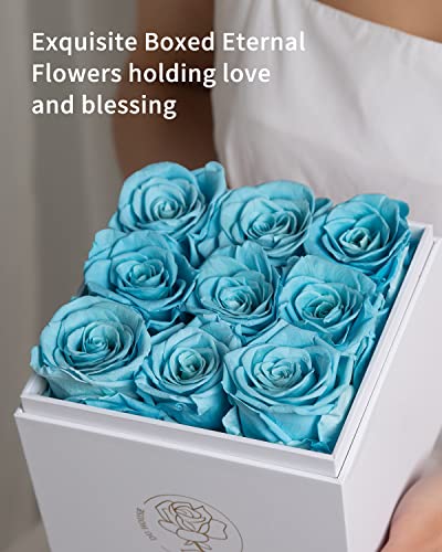 Duhouse 9Pcs Preservd Rose In Acrylic Box Eternal Flower That Lasts 4 Years Gifts For Girlfriend Wife Mom Women Valentines Day Anniversary Birthday Mothers Day(Sky Blue) #TOP1