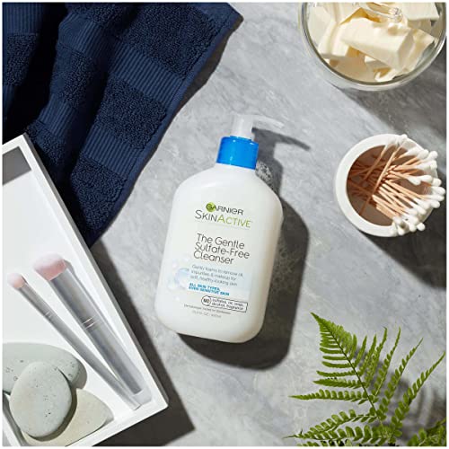 Garnier Skinactive Gentle Sulfate Free Foaming Face Wash, 2 Count #TOP4