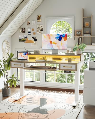 Image of TIQLAB Standing Desk with Two Drawers, Stand Up Standing Desk Adjustable Height, Electric Sit Stand Table with Storage Shelf and Splice Board, with LED Light, 47 * 28 inch, Maple