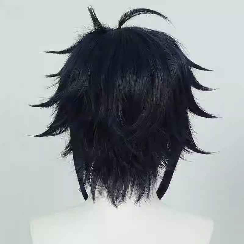 Amazon.co.jp: 伊波ライ コスプレウィッグ : ホビー