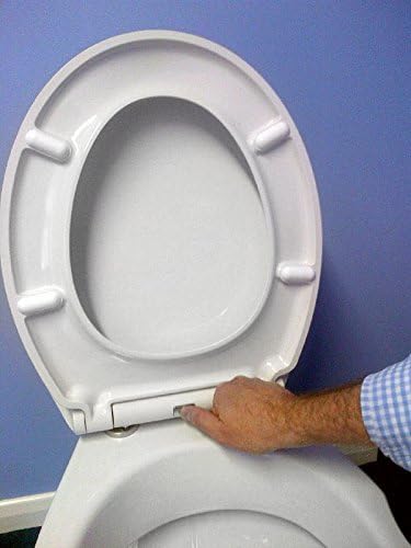 Euroshowers Rainbow Soft Close Toilet Seat (blue), 37.5 cm x 44.5 cm - Image 4
