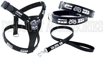 staffy collars amazon