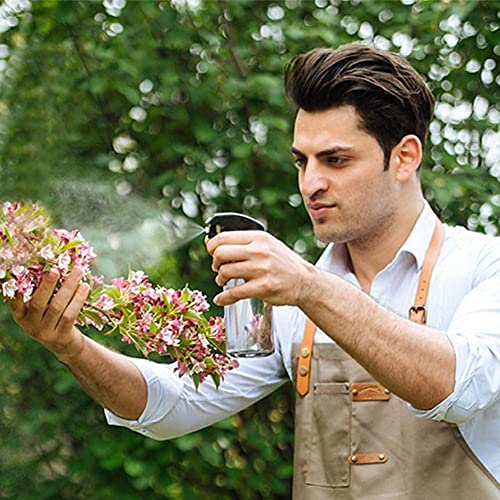 Consejos para Comprar Atomizador del mes. 21