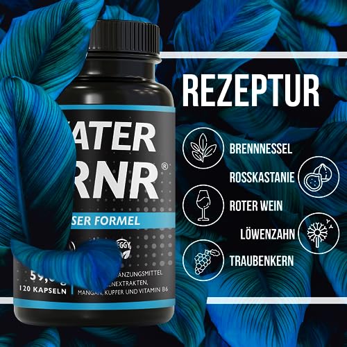 BRNR - Wasser Bindegewebe Komplex mit Kupfer und 5in1 Stoffwechsel Formel mit Vitamin B6, Brennnesselextrakt, Rosskastanienextrakt, 120 Kapseln