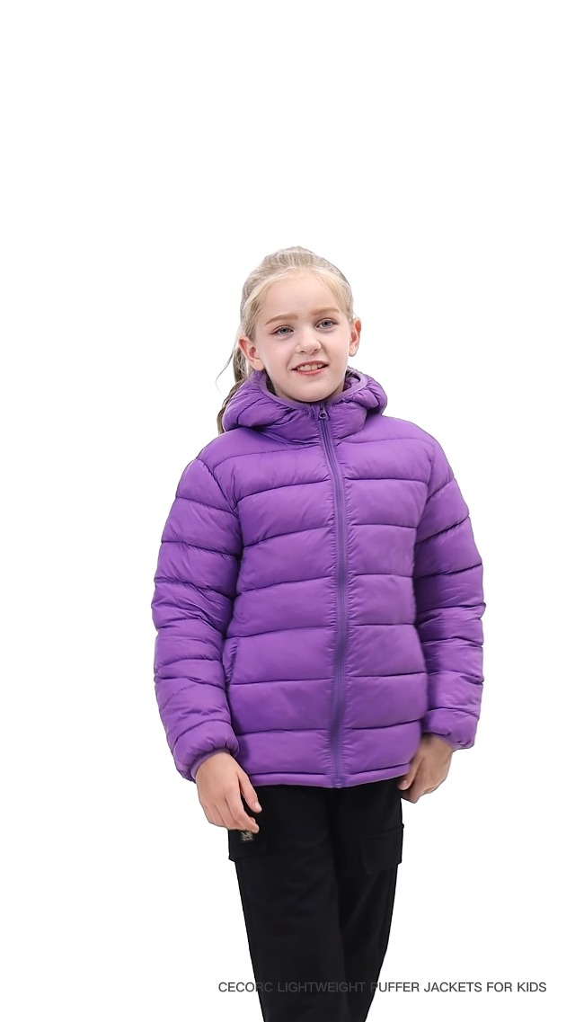 Amazon.com: Hooded Puffer Jackets for Little Boys and Girls
