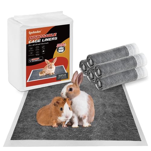 10 Best Bedding For Guinea Pig Odor Control By An Expert