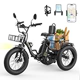 Skeri Electric Tricycle for Adults, 750W...