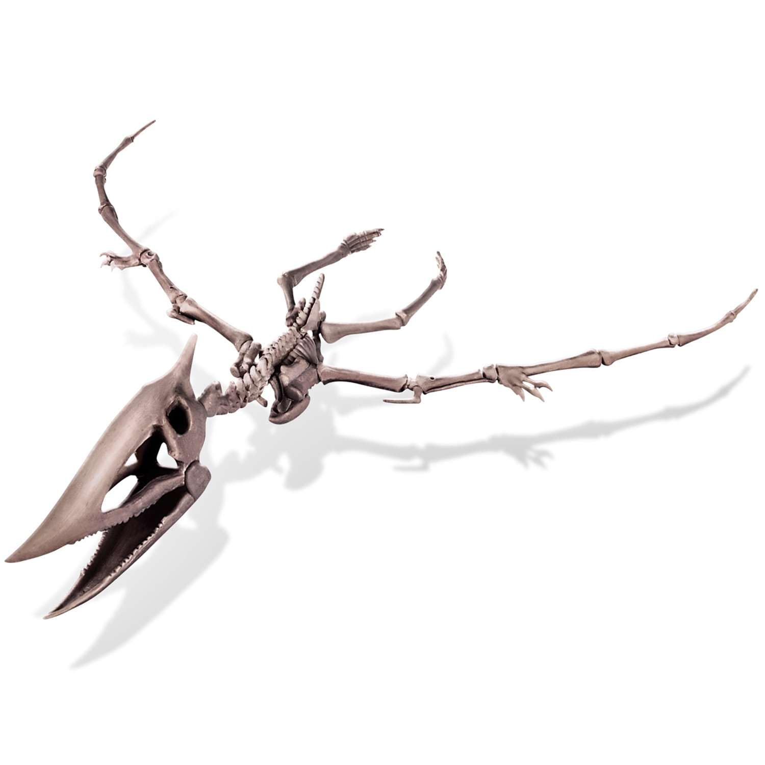 KidzLabs - Excavación De Esqueleto De Pteranodon: Kit Arqueológico Para Niños De 8 Años, Incluye Martillo, Cincel Y Bloque De Yeso Para Desenterrar Un Dinosaurio