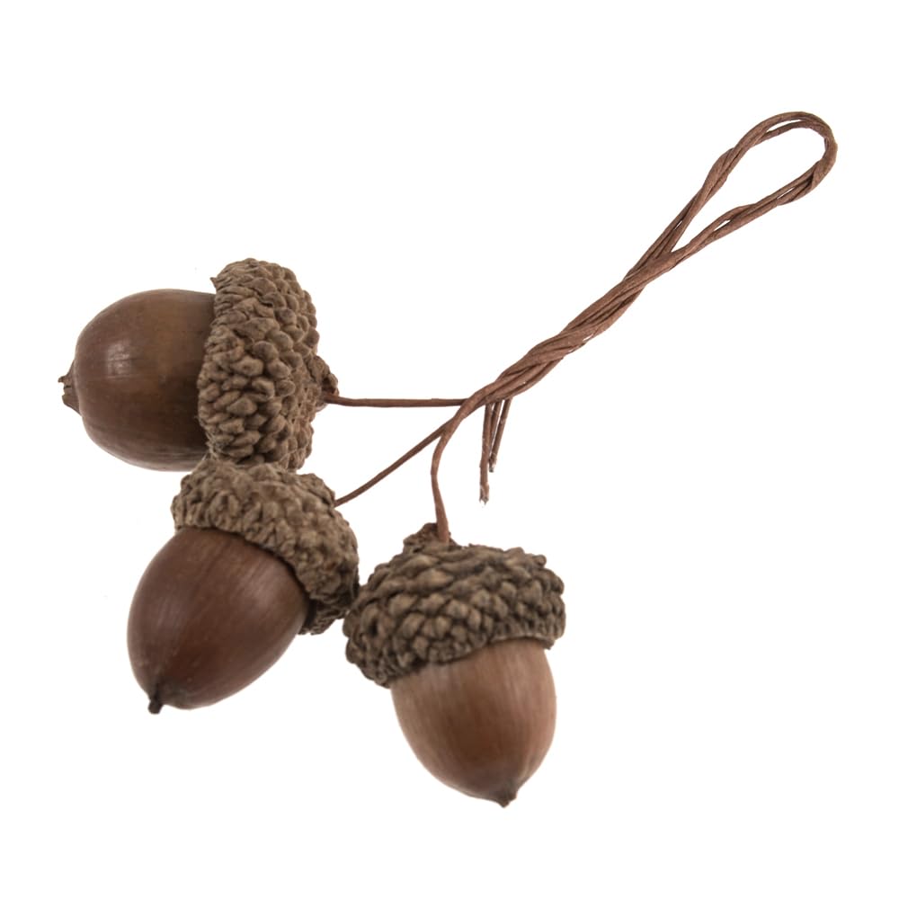 Crafty Capers Natural Acorn Picks | Bunch Of 9 On Wires | Wreath Making & Floristry