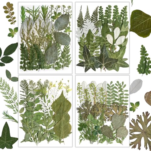 Image of Resiners Dried Pressed Flowers for Resin Molds, Real Natural Dried Flowers Dry Leaves kit for Scrapbook Supplies Card Making Resin Jewelry Making Soap Candle DIY Crafts (Green Leaves100pcs)