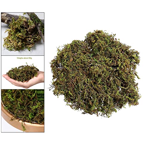 Generic 100g/ Simulado Seco Planta Jdim Decoração Vaso