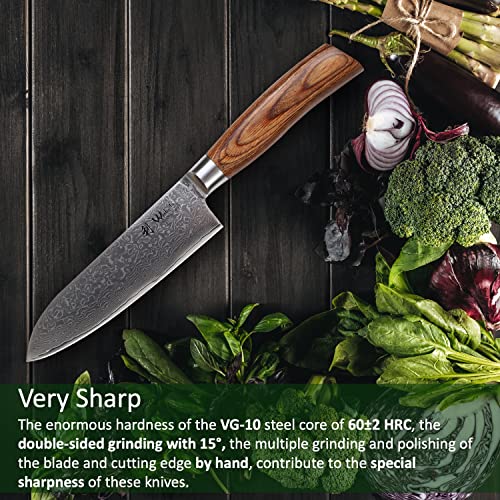 Wakoli Edib Pro 3-Pcs Damascus Knife Set I Professional Kitchen Knives Made Of Japanese Damascus Steel Vg10 Chef Knife Set With Pakka Wood Handle In Gift Box #TOP4