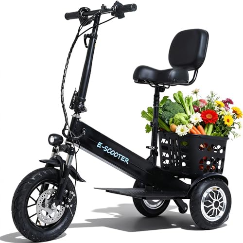 3 Wheel Electric Scooter Low Step