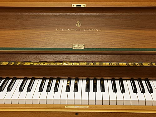 Amazon | STEINWAY＆SONS（スタインウェイ＆サンズ）V125 / 中古アップ