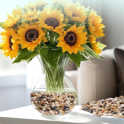 Image of 2.5 lbs Pebbles for Indoor Plants, Vase, Succulent, 3 /8 inch Gravel for Plants, Pots Indoor, Bamboo Rocks for Bamboo Plants, Decorative Small River Rock, Highly Polished