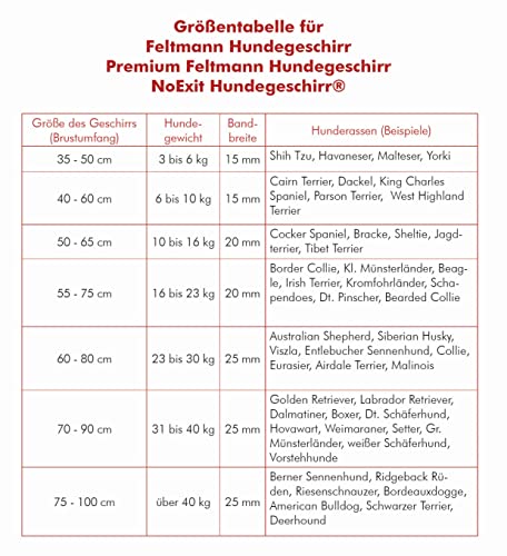 Feltmann Hundegeschirr Mantrailing/Suchgeschirr Basic - Laufgeschirr, Joggergeschirr - Super Soft, Neonorange, reflektierend, Bauchumfang 40-60 cm, 15 mm Bandbreite