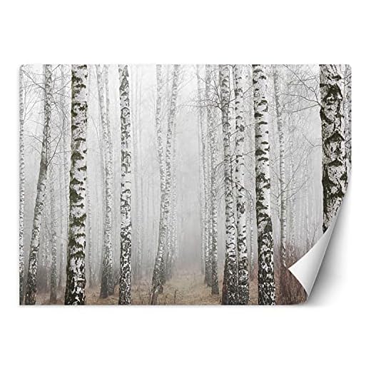 Feeby Papel Pintado Bosque Árboles 350x245 cm Gris Fotomurales Decoración De Paredes Moderna Casa Oficina Despacho Cuarto De Invitados Naturaleza Abedules Niebla