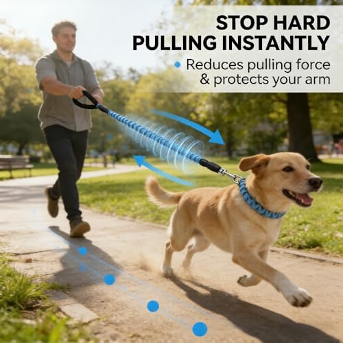 Bungee Dog Leash with Elastic Stretch Design, Durable Nylon Dog Lead for Medium Large Dogs, Comfortable Padded Handle, Tangle-Free Training Walking Leash