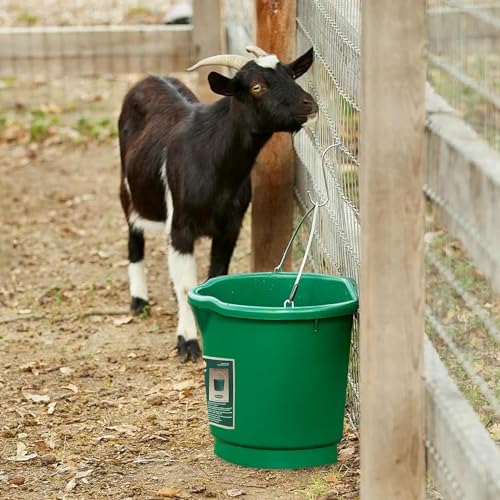 Farm Innovators Heated Water Bucket, 5 Gallon thumb #4