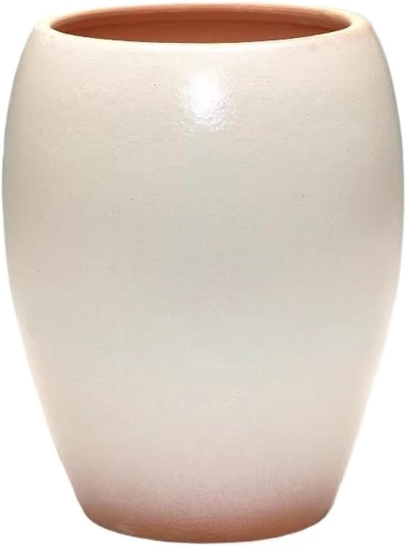 ト*ン様 インビジブルインク invisible ink パキポディウムナマクア