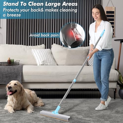 Image of 4 Packs Pet Hair Remover Set, gray