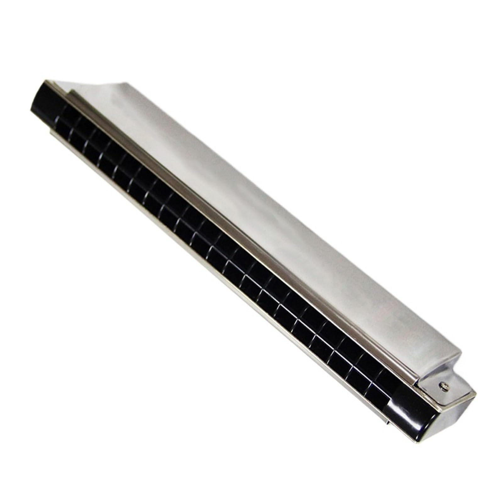 Mundharmonikas für Erwachsene Professionelles Performance Ensemble Mundharmonika