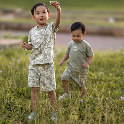 Image of Gerber Baby Boys' Toddler T-shirt and Short Set