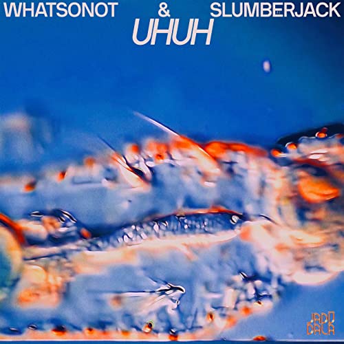 What So Not & Slumberjack