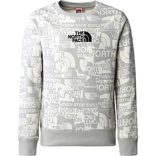 THE NORTH FACE Drew Sudadera, Meld Grey TNF Brand Proud Print, 164 Unisex niños