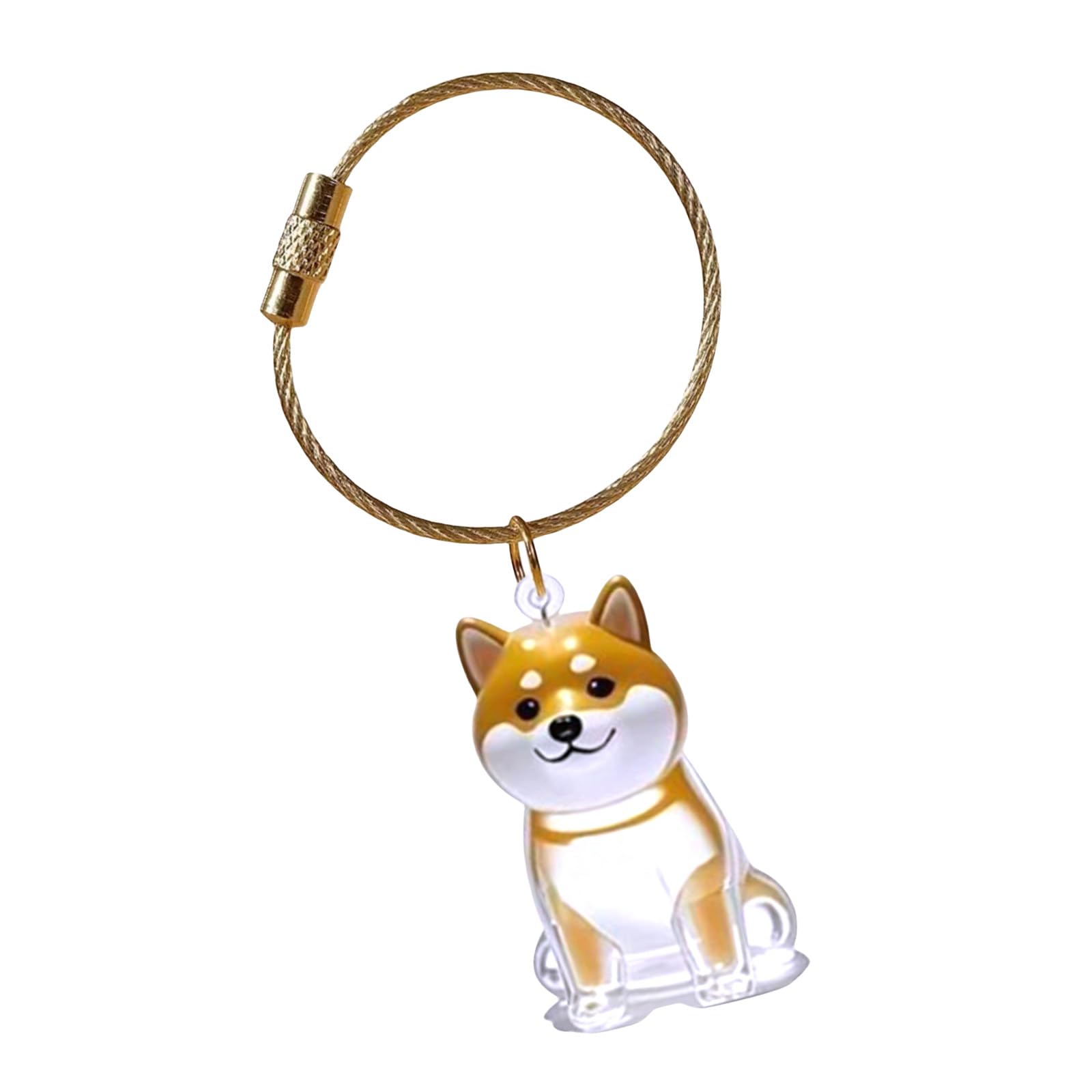 yanwuwa Pet Loss Memorial Keychain Features Visible Hair Storage Chamber and Durability Pet Hair Box Keyring Clear Memorial Box