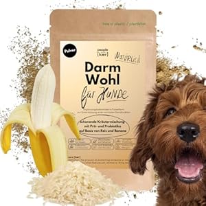 People who Kaer Gut Gut Powder for Dogs, 200 g – Prebiotics & Probiotics Dog Based on Rice and Banana, Intestinal Restoration and Diarrhea Dog, Intestinal Flora Building Dog Diarrhea