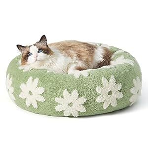 Lesure Cat Beds for Indoor Cats – Round Cat Bed Donut Small Dog Bed Calming Pet Beds, Cute Modern Beds with Jacquard Shaggy Plush & Anti Slip Bottom, 20 Inch, Green