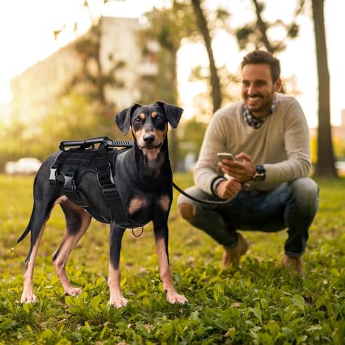 Mapille Hundegeschirr mit Leine,Hundegeschirr mit Griff,mit 3 Griffe und 3 D-Ringen,Reflektierend Atmungsaktiv,Brustgeschirr Hund,für Mittelgroße Große Hunde(M)